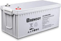 12V 100Ah AGM Deep Cycle Battery ¨C Low Self-Discharge, High Surge Current, Maintenance-Free Power for RVs, Marine &amp; Off-Grid Systems