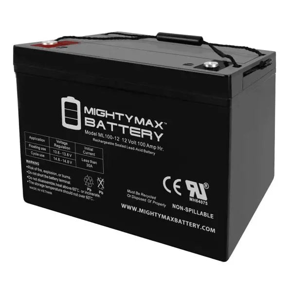 12V 100Ah SLA Replacement Battery ¨C Designed for Sump Pumps and Backup Systems