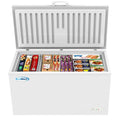 16 Cu. Ft. Commercial Upright Chest Freezer ¨C 60-Inch