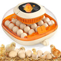 2024 Upgraded 25-Egg Incubator ¨C Automatic Turner with Humidity Control, Thermometer &amp; Clear-View Candler