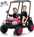 24V Kids¡¯ Golf Cart with Remote, Removable Awning &amp; 4-Wheel Spring Suspension