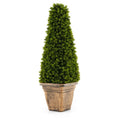 3-Foot Artificial Boxwood Topiary Tree ¨C Classic Rounded Shape