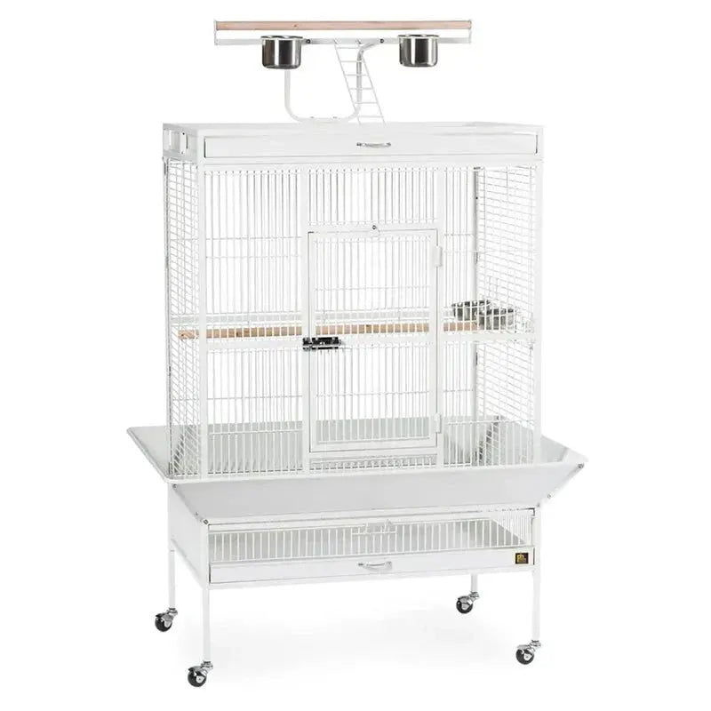36″ Wrought Iron Bird Cage (Chalk White) ¨C Spacious 36″ x 24″ x 66″ Aviary Enclosure