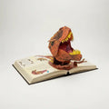 3D Pop-Up Dinosaur Book ¨C Interactive Illustrated Children¡¯s Storybook