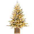 4-Foot Pre-Lit Entrance Christmas Tree with 231 Branch Tips and 100 Energy-Efficient LEDs