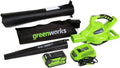 40V Cordless Variable-Speed Leaf Blower &amp; Vacuum ¨C 185 MPH, Includes 4.0Ah Battery and Charger (Model 24322)