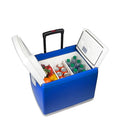 46-Quart Dual-Zone 12V Portable Cooler and Warmer for Vehicles and Outdoors